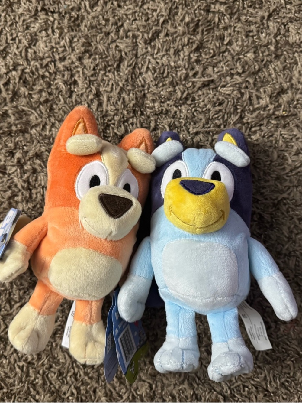 Bluey and Bingo